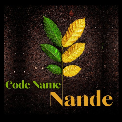 code name nande